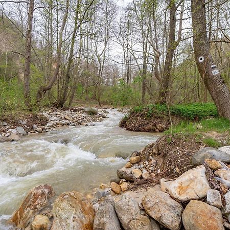 Hotel Rechen Rai Melnik  Kültér fotó