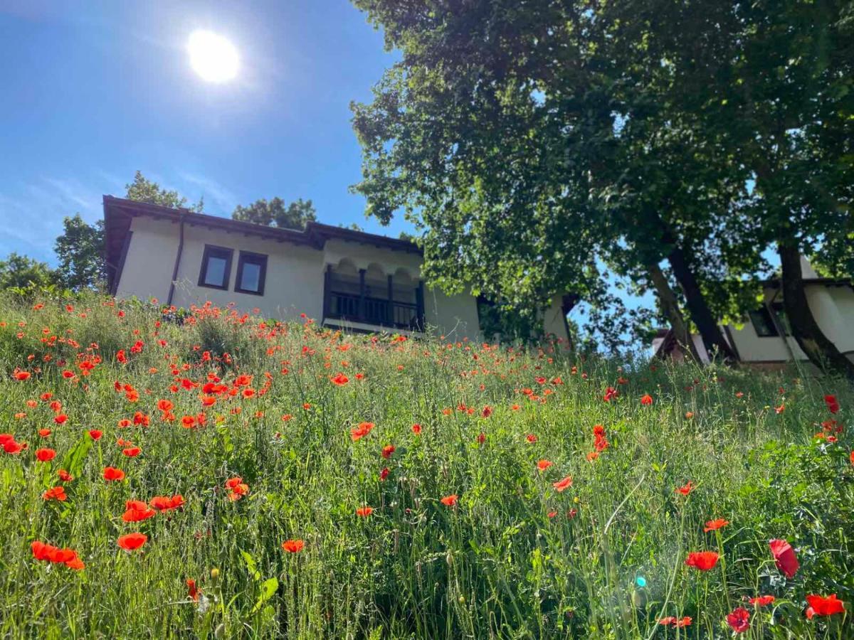 Hotel Rechen Rai Melnik  Kültér fotó