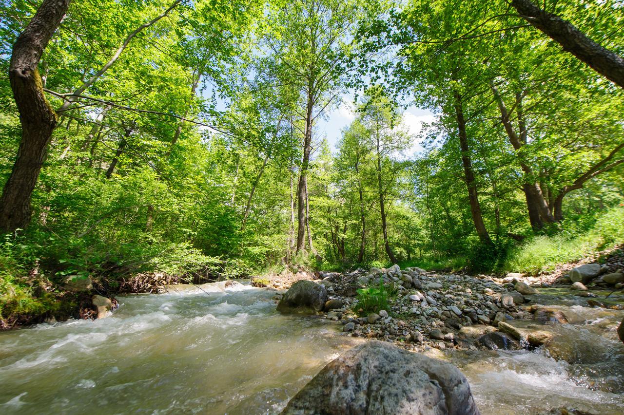Hotel Rechen Rai Melnik  Kültér fotó